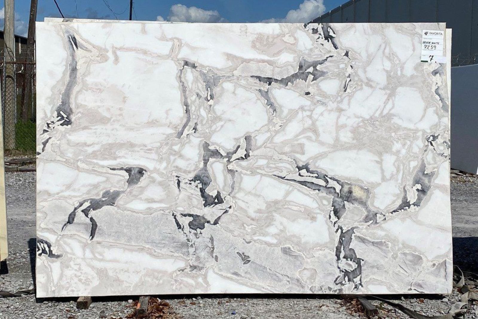 dover white marble - avyaan stones